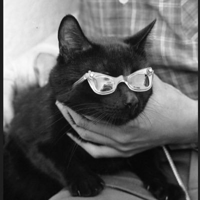 cherryrunrun_'s profile picture. 