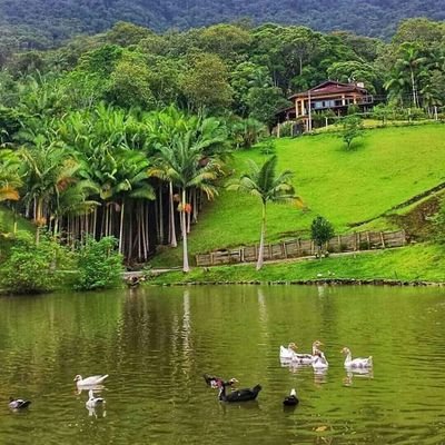 suerojavier02's profile picture. 