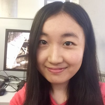 Assistant professor in Math and Data Science, NYU, Postdoc at Princeton ECE, PhD from UT Austin, interested in machine learning, deep learning and optimization