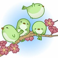 うぐいすリボン / Uguisu Ribbon Campaign (@jfsribbon) 's Twitter Profile Photo うぐいすリボン / Uguisu Ribbon Campaign (@jfsribbon) 's Twitter Profile Photo