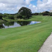 Jorge G. (@hipocloritojg) 's Twitter Profile