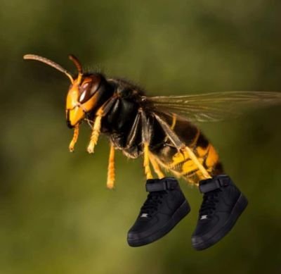 GiantAssHornet's profile picture. Talk shit get got bitch!!!!!!