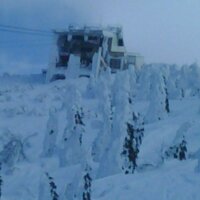 WELL (@wellcrew) Twitter profile photo