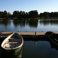 Alex McKie (@aamckie) Twitter profile photo