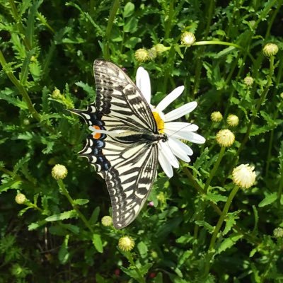 天瀬ひみか様を信じ、聖三活動を日々コツコツ続けています✨今までの生活習慣を改め、環境に優しく暮らす事を心がけています🌱✨