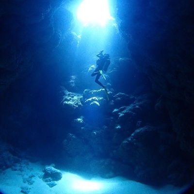 北海道→沖縄移住24年目の余所者。
月1回ダイビングするけど潜るよりスノーケル着けて水面で浮いてほうが好。ヤンバリングするけどキャンプは嫌。
どこへ行くのもオヒトリ様でギョサン履。
ニンゲン以外の全生物が好。
ネコ2匹コンゴウインコ1羽を保護療育中。
写真はTG3で撮。
毎日朝晩に何かを呟。