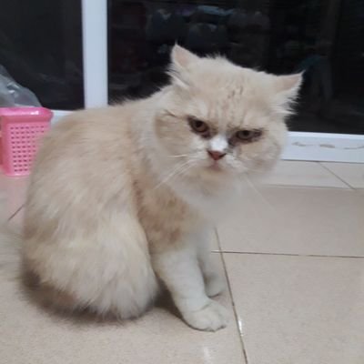 Fortune98997733's profile picture. ขำๆ