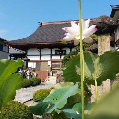 山形市にある曹洞宗寺院、隆興山傳昌寺(でんしょうじ)の公式アカウントになります。 呟き＆御朱印担当はお寺のおばさんです。 フォローは大歓迎ですので宜しくお願いします。 ※コロナ感染拡大防止の為、現在のところ一般の方の参拝御朱印等は自粛させていただいております