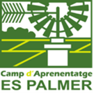 Es Palmer - Camp d'Aprenentatge
