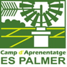 Es Palmer - Camp d'Aprenentatge (@es_cda) 's Twitter Profile