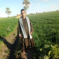 ليالي الشمال الحزينة (@taemoor1223) Twitter profile photo