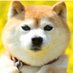 @inudosiumare