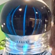 Joel Palefsky Profile