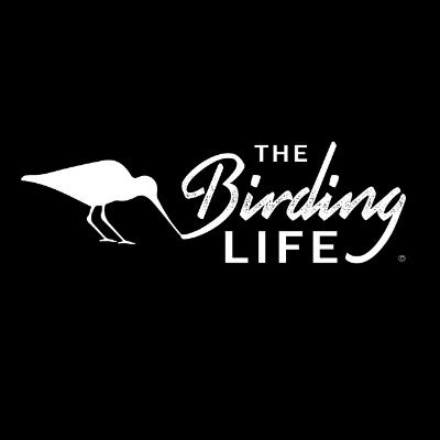 birding_life Profile Picture