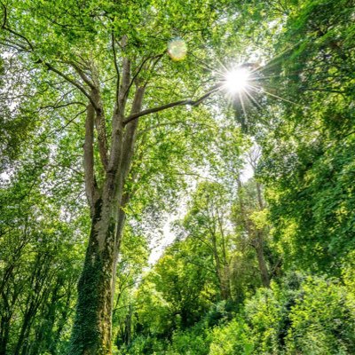 rach309's profile picture. 