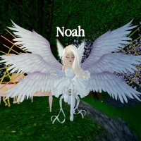 noah🌻🙂(@justnoah1718) 's Twitter Profile Photo