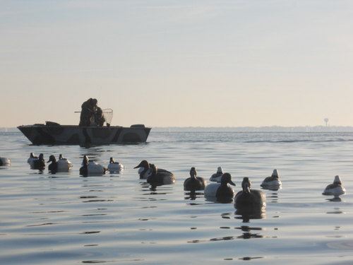 New Jerseys Professional Guide for open water Diver and Sea Duck Hunts.
Follow us on Facebook @ Drakes Waterfowl Guide