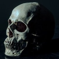 Thong Hiển (@phucanh98939237) 's Twitter Profile