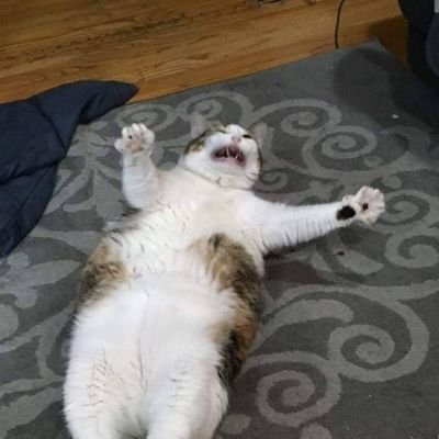 JONATHANSCOSTA2's profile picture. 