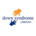 Down Syndrome Limerick (@dslimerick) Twitter profile photo