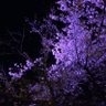 kouki_live8's profile picture. お笑い芸人EXITとピース、B'zの音楽が好きです。〜♪いつでもいいから笑顔だけかわそう〜