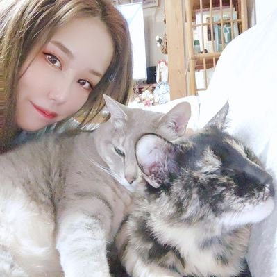猫大好きみーちゃん Miyu Twitter
