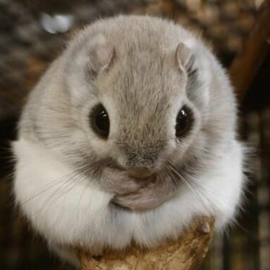 advfy11's profile picture. 色々好きです。好き嫌いハッキリ。