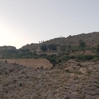 JoXeX3's profile picture. Venta a domicilio de patatas