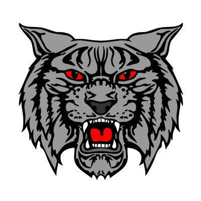 LaneyWildcat Profile Picture