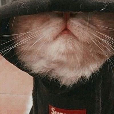 Pandafit6's profile picture. Alhamdulillah