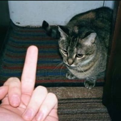 Leaksbydaylight Dead By Daylight Leaks More How Bots Will Work Tome Iv Skins Render All Charms Amp New Info About Red Glyph Mechanic T Co Hwmj3c2c2n Deadbydaylight Leaksbydaylight Leaksbydaylight Dead By Daylight Leaks More How Bots Will Work Tome Iv Skins Render All Charms Amp New Info About Red Glyph Mechanic T Co Hwmj3c2c2n Deadbydaylight Leaksbydaylight