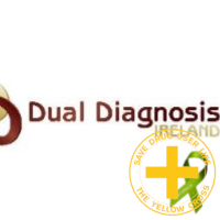 Dual Diagnosis Ireland - @dualireland Twitter Profile Photo