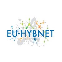 EU-HYBNET Project(@EuHybnet) 's Twitter Profile Photo