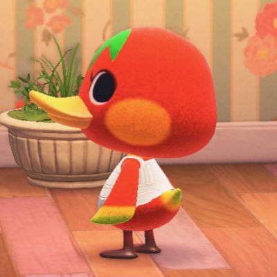 rinchansan0205's profile picture. フォロリク❌