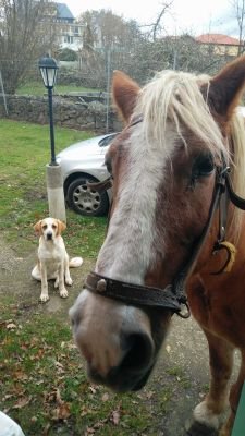 RomyRumy's profile picture. motera❤viajera#GaliciaMola