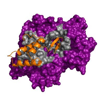 Located in Chalmers and Burt Halls, the Biochemistry and Molecular Biophysics Program offers B.A., B.S., M.S. and Ph.D. degrees.