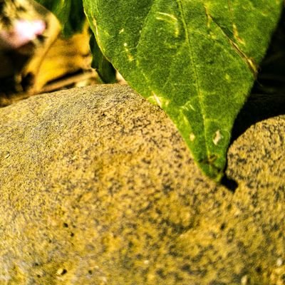 savrputraa's profile picture. Just For Fun