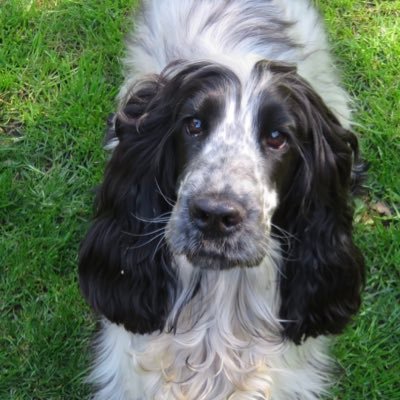 kateT3480's profile picture. 