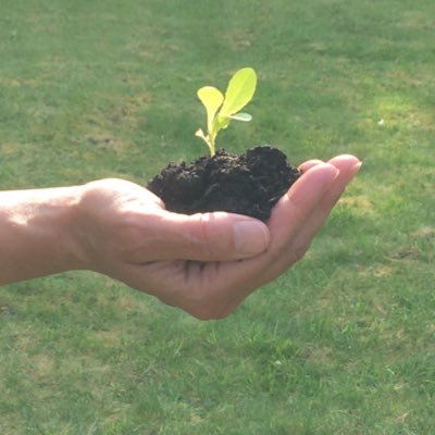 claire_learning's profile picture. Teacher. Mentor. Trainer. Facilitator. Always learning. Passionately curious.