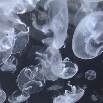 _811r's profile picture. 