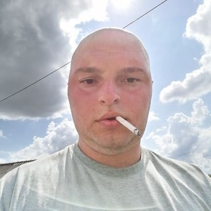 Prosečan