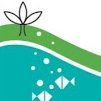 ALB is a journal that publishes original articles in Limnology comprising physical, chemical and biological aspects of all freshwater ecosystems.