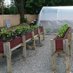HawleyGreen Community-Garden (@hawleygreeng) Twitter profile photo HawleyGreen Community-Garden (@hawleygreeng) Twitter profile photo