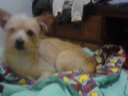 sparkies52's profile picture. how are you i coudnt get. to talk to. u last night are u there