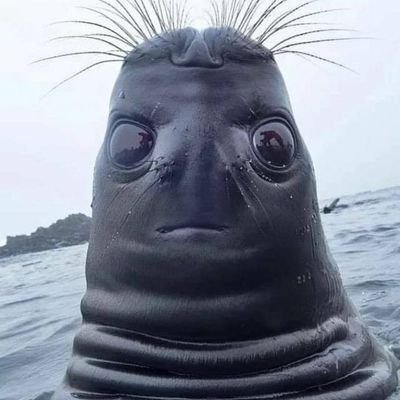 Metsy78's profile picture. i have a dream that one day we get up stand up and we don't give up the fight !