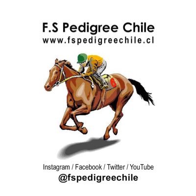 #FSPedigreeChile: lo mejor de la hípica chilena y mundial en un solo lugar • https://t.co/G5PeDFf7eX • https://t.co/SnDfJqYErC