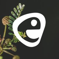 Eco Sapien | YouTube Channel (@eco_sapien) 's Twitter Profile Photo Eco Sapien | YouTube Channel (@eco_sapien) 's Twitter Profile Photo