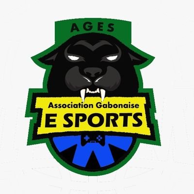 Everything about the e-sport 🎮 in Gabon. |E-sport Clubs 🎮🏆| Gaming and more.