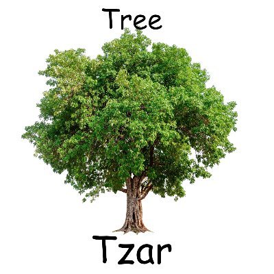 The Tree Tzarさんのプロフィール画像