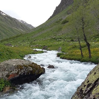 Kimsenin ne kulu ne müridi ne destekçisiyim 
Dünya vatandaşı bir Kürdüm.
Bir insana kul olanalar, Apoçiler ve kendi ırkını üstün gören ırkçılara alerjim vadır.